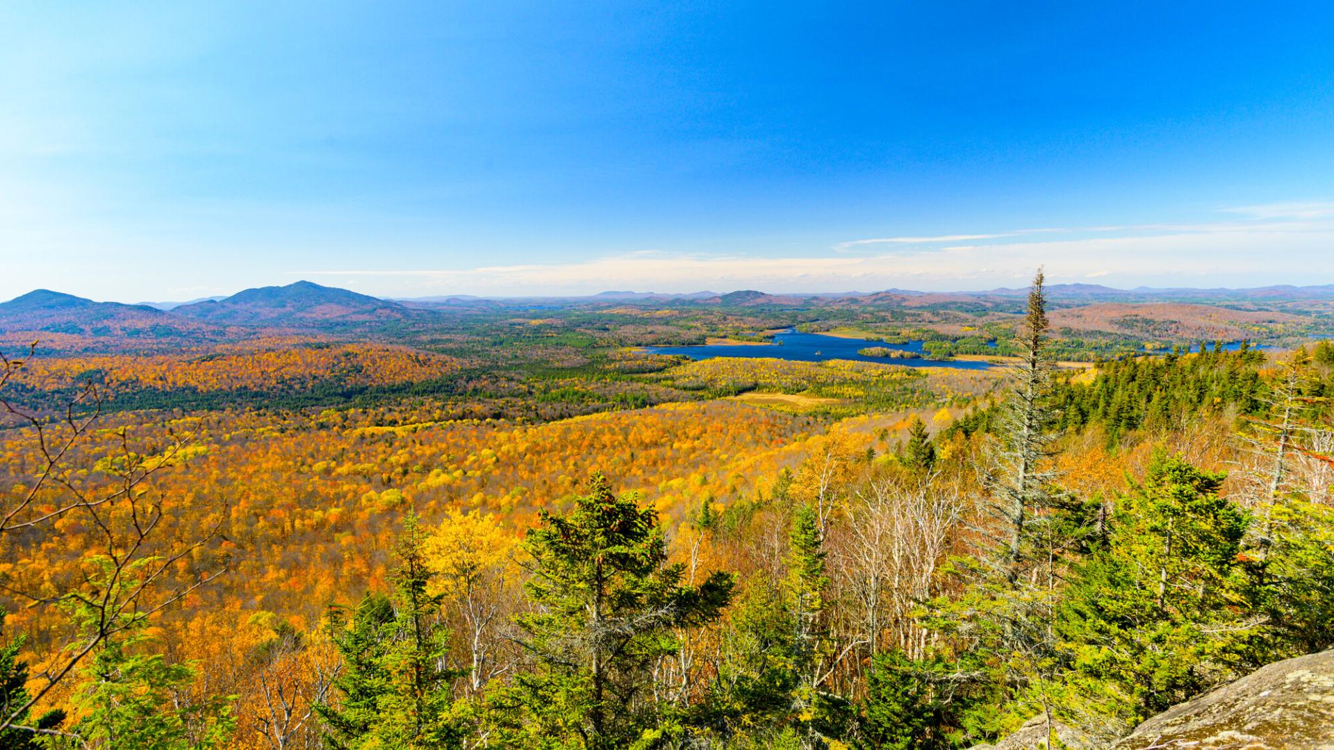 Foliage 2023: How to find peak Vermont foliage, decided by locals